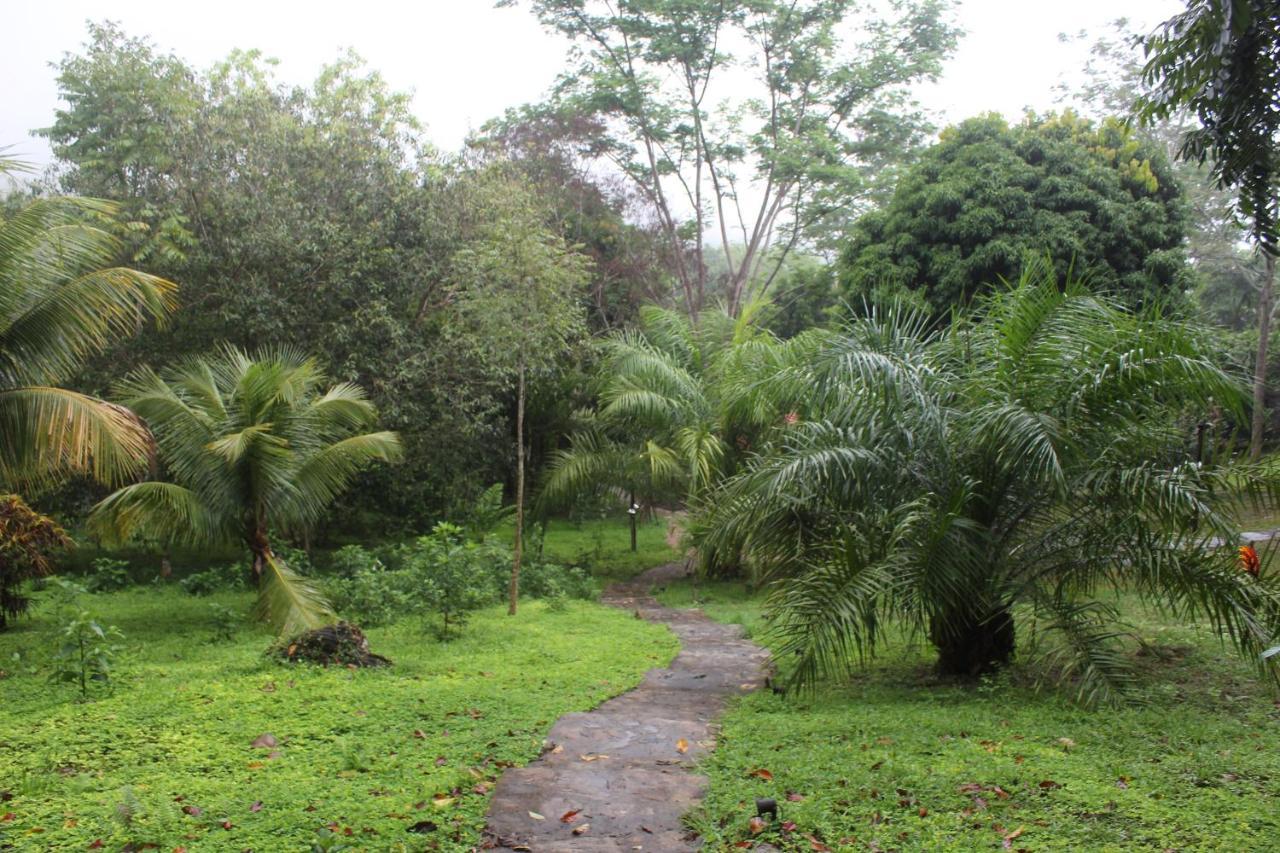 Cordillera Escalera Lodge Tarapoto Extérieur photo