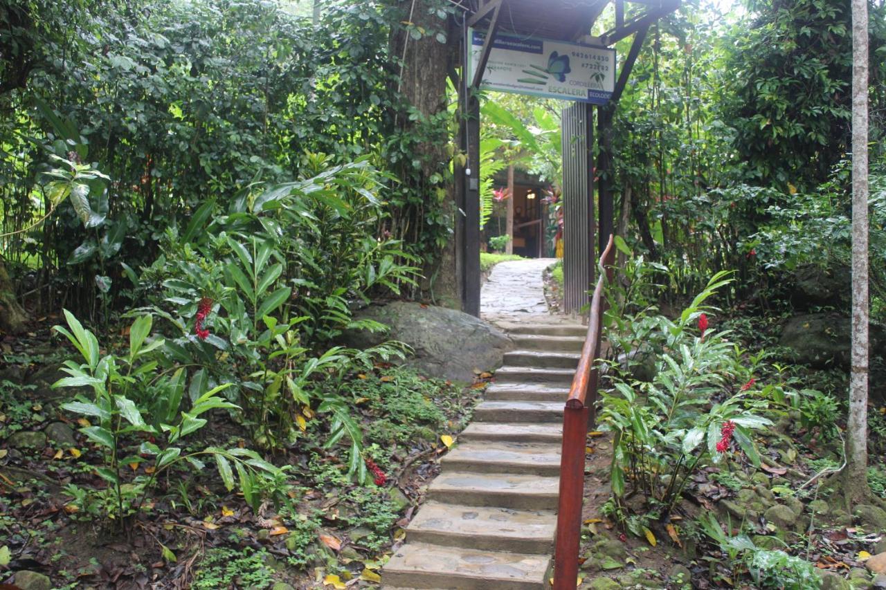 Cordillera Escalera Lodge Tarapoto Extérieur photo